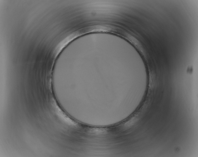 X0000110730802200907022109