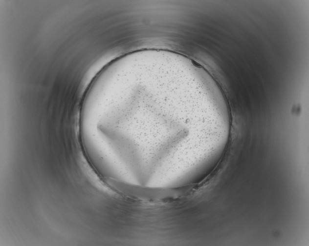 X0000110730804200907022109