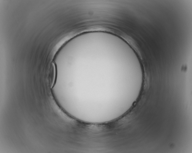 X0000110730805200907022109