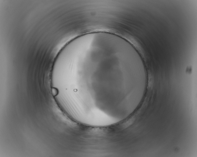 X0000110730806200907022109