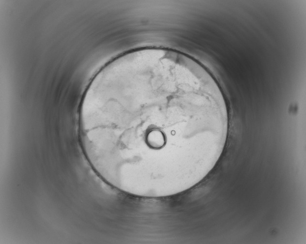 X0000110730807200907022109