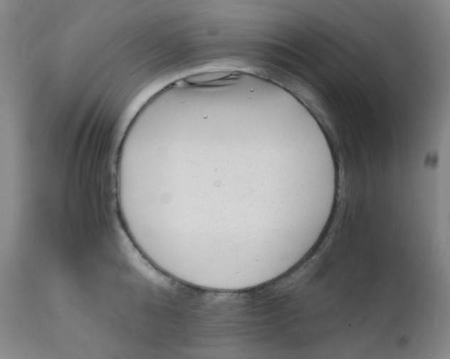 X0000110730808200907022109