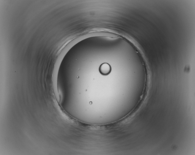 X0000110730809200907022109