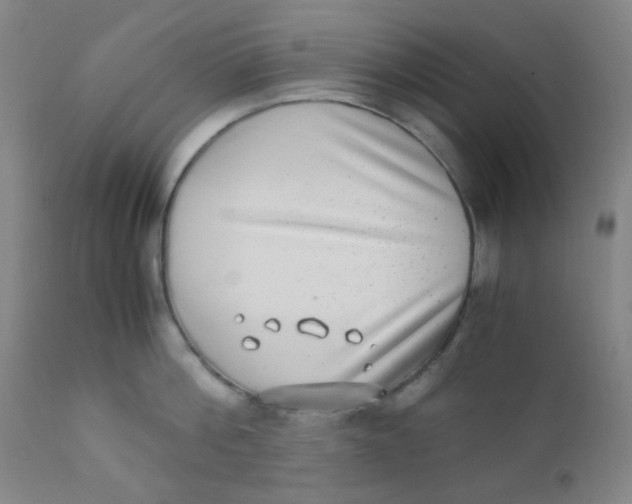 X0000110730812200907022109