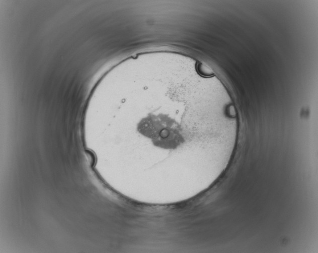 X0000110730813200907022109