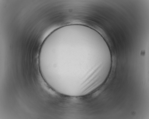 X0000110730814200907022109