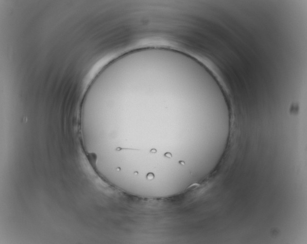 X0000110730815200907022109