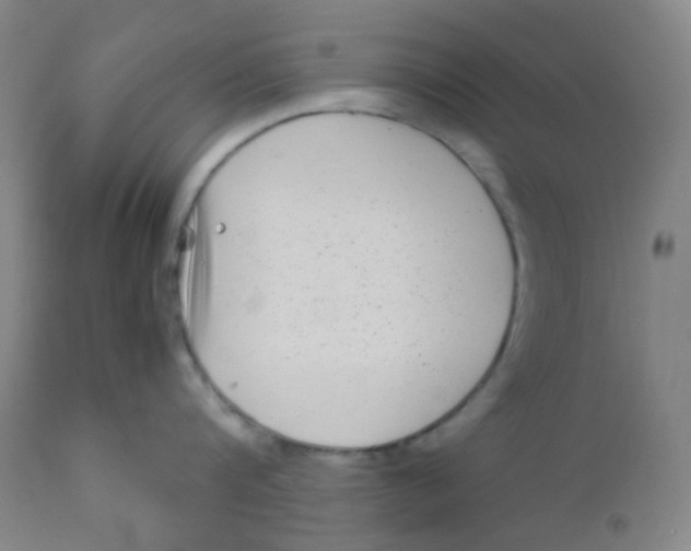 X0000110730816200907022109