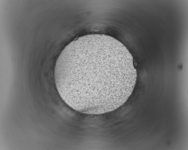 X0000110730817200907022108