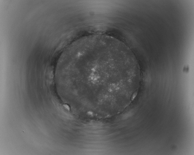 X0000110730818200907022108