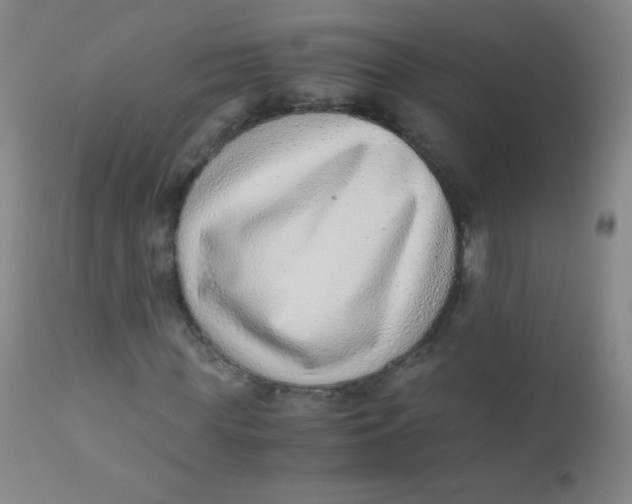 X0000110730819200907022108