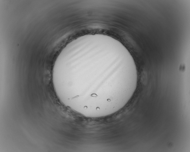 X0000110730821200907022108