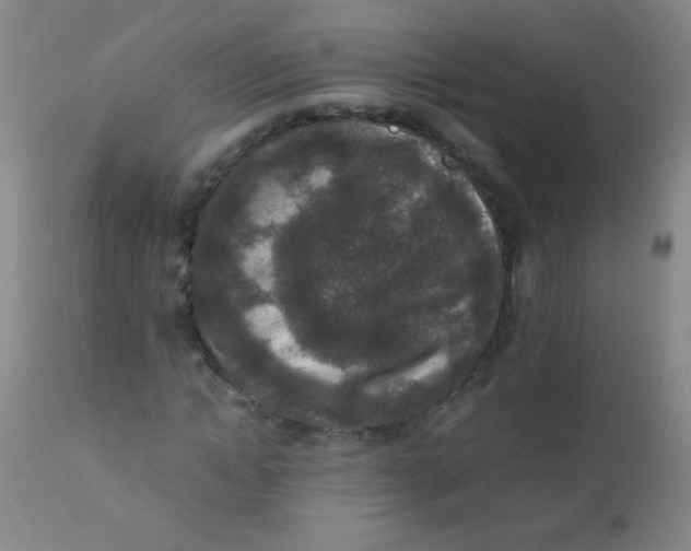 X0000110730822200907022108