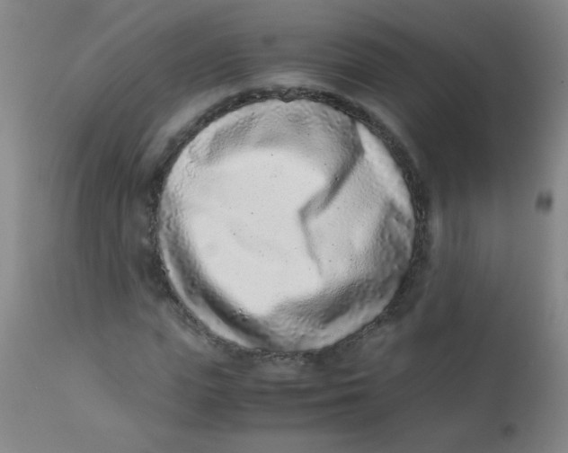 X0000110730823200907022108