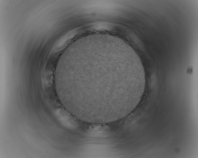 X0000110730824200907022108