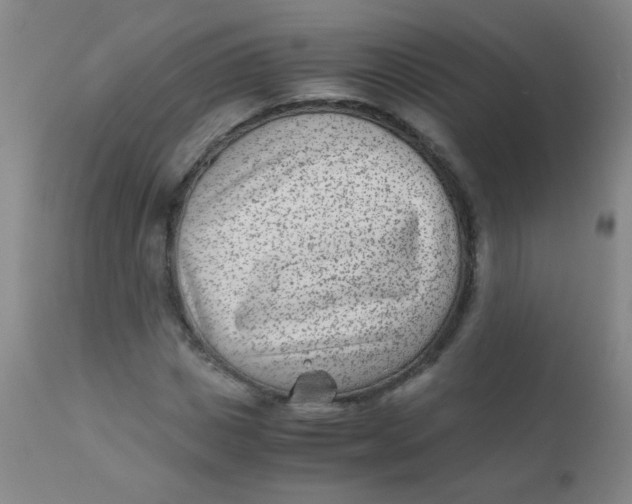 X0000110730825200907022108