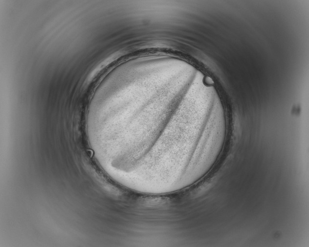 X0000110730826200907022108