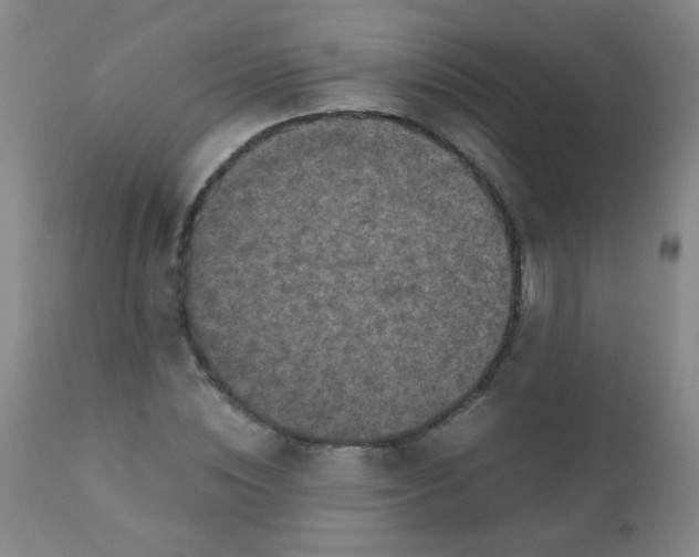 X0000110730828200907022108