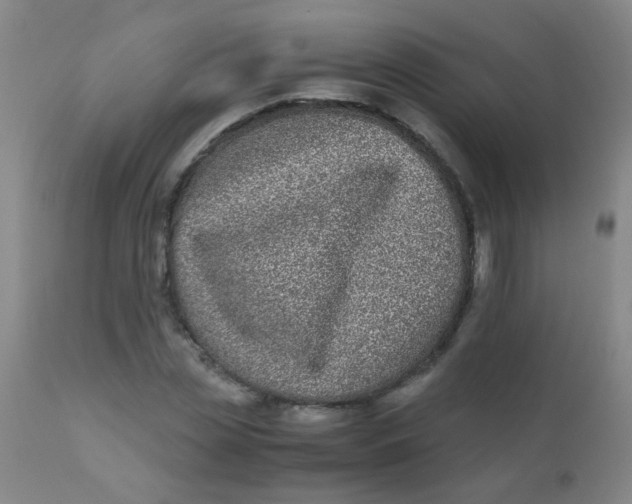 X0000110730829200907022108