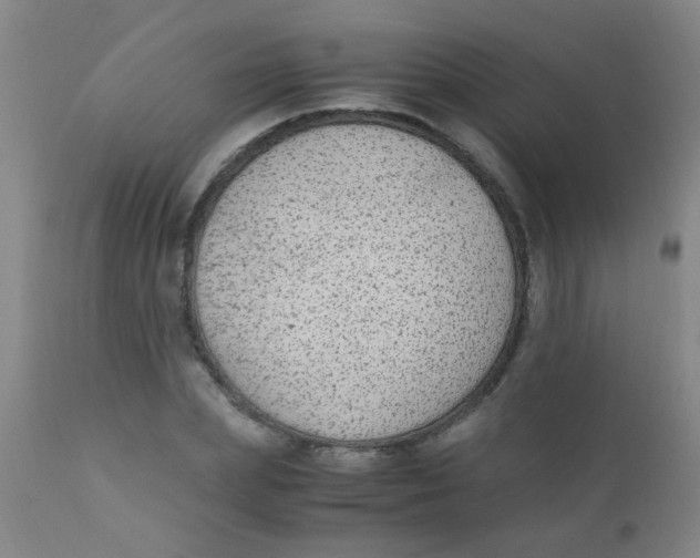 X0000110730831200907022108