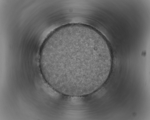 X0000110730832200907022108