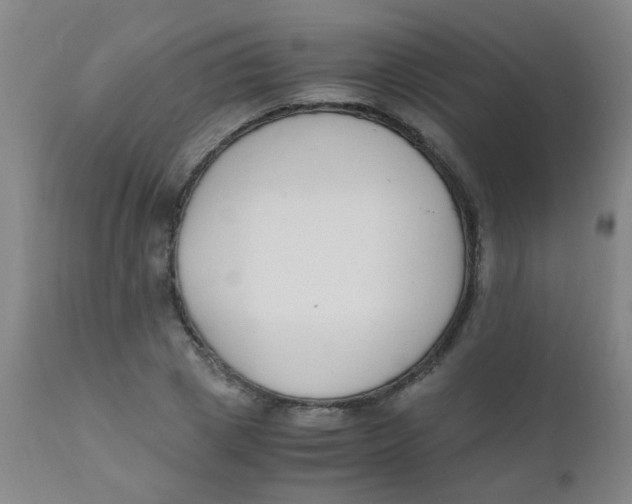 X0000110730833200907022108