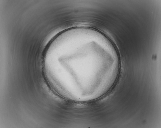 X0000110730835200907022108