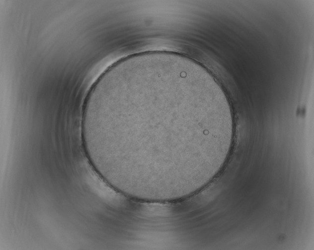 X0000110730836200907022108