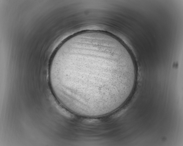 X0000110730837200907022108