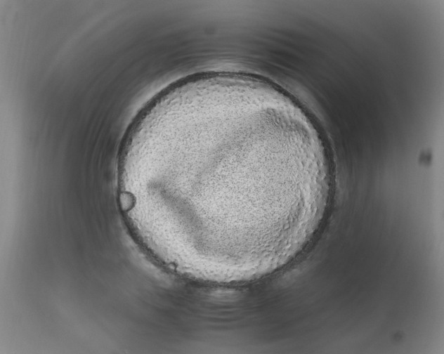 X0000110730839200907022108