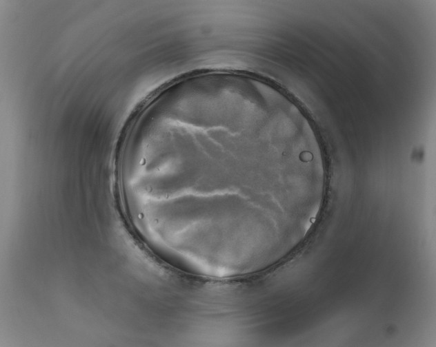 X0000110730840200907022108