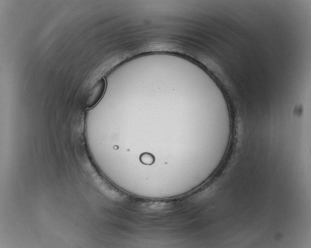 X0000110730841200907022108