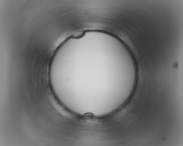 X0000110730842200907022108