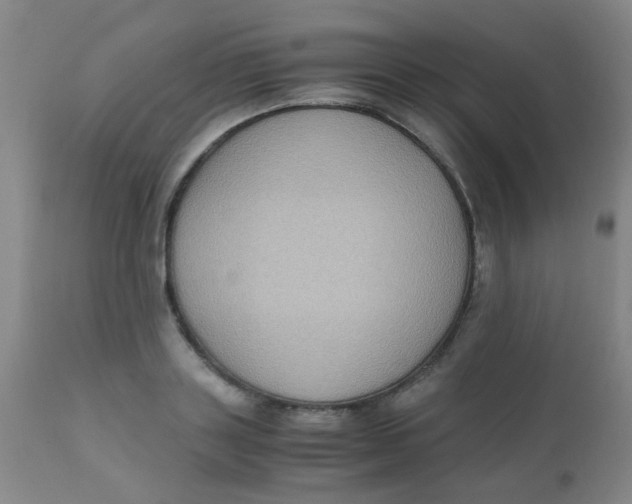 X0000110730843200907022108