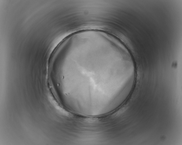 X0000110730844200907022108