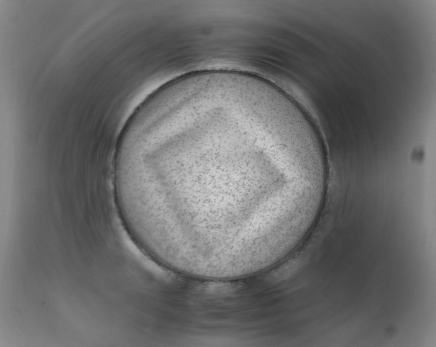 X0000110730847200907022108