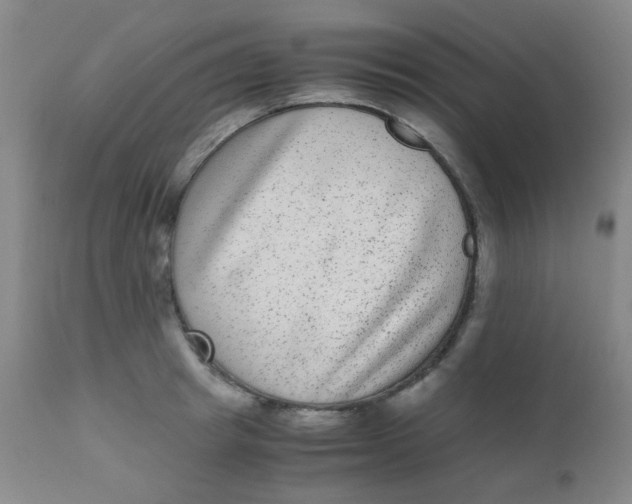 X0000110730849200907022108