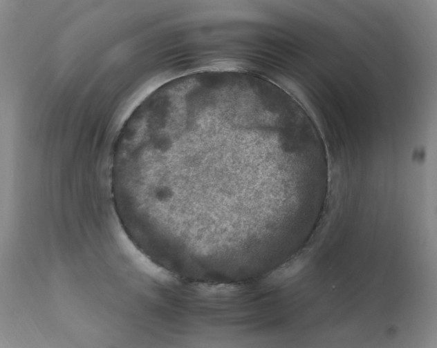 X0000110730851200907022108