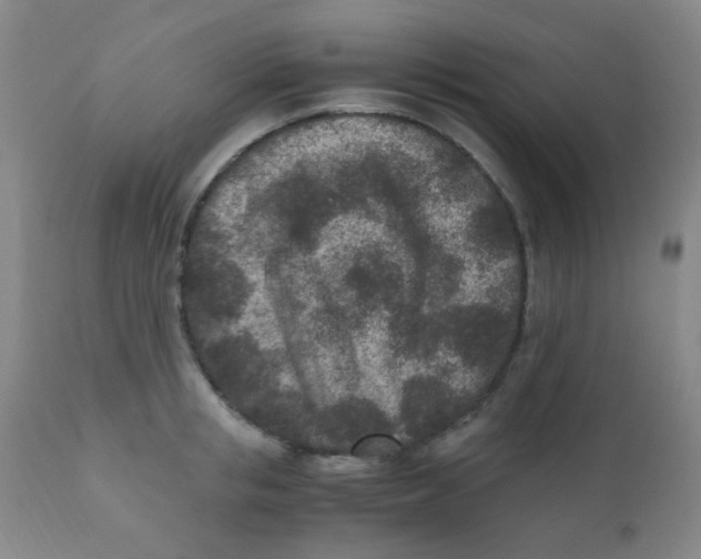 X0000110730853200907022108