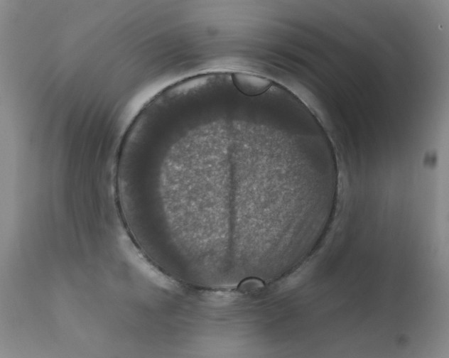 X0000110730854200907022108