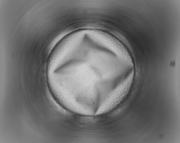 X0000110730855200907022108