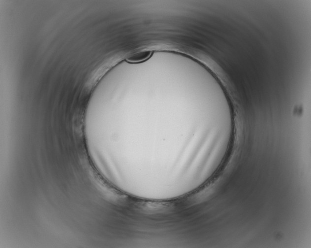 X0000110730857200907022108