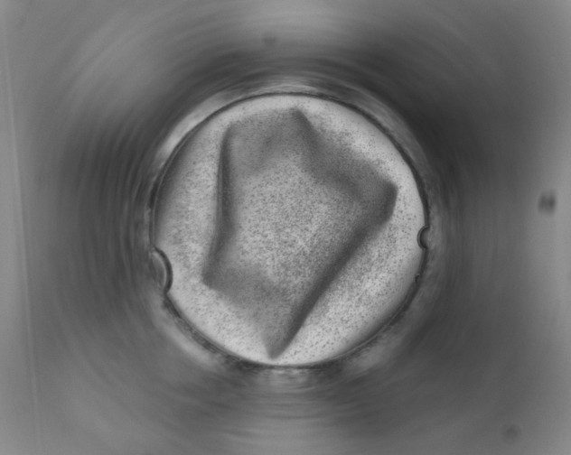 X0000110730858200907022108