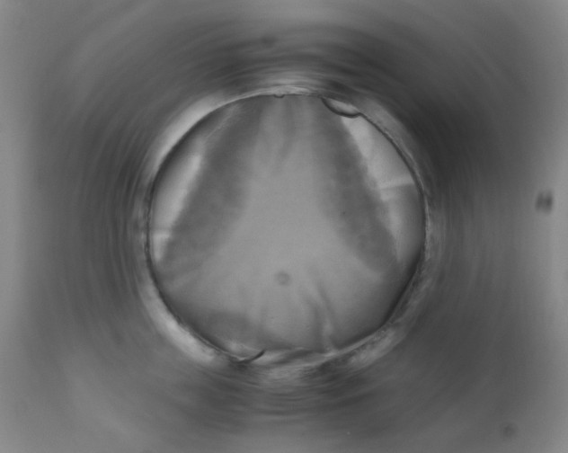 X0000110730859200907022108