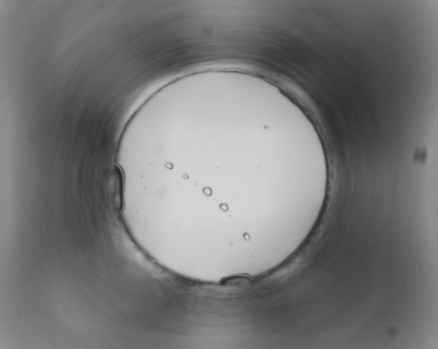 X0000110730860200907022108