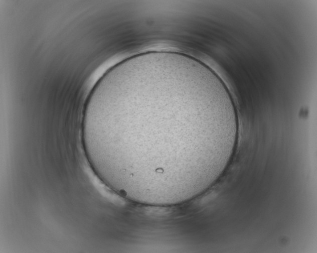 X0000110730861200907022108