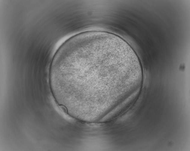 X0000110730862200907022108