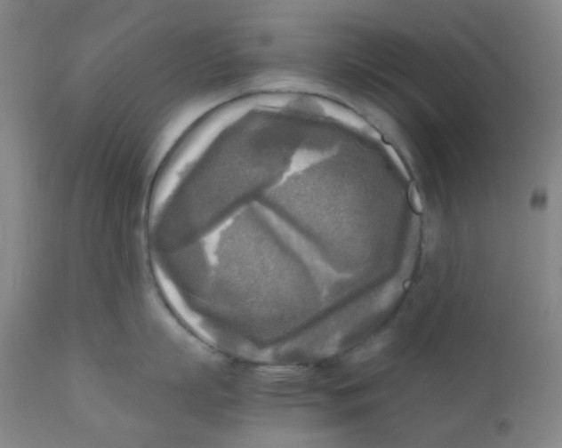 X0000110730863200907022108