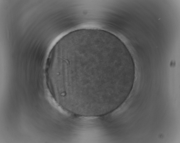 X0000110730864200907022108