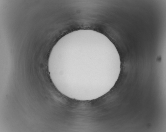 X0000110730865200907022108